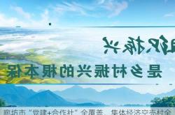 廊坊市“党建+合作社”全覆盖，集体经济空壳村全面清零，助力乡村振兴